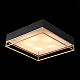 Потолочный светильник ST Luce Chodo SL1127.422.05
