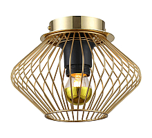 Накладной светильник Lussole Loft Brooks LSP-8248
