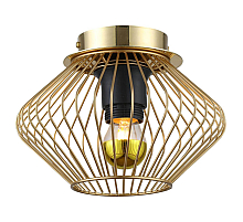 Накладной светильник Lussole Loft Brooks LSP-8248
