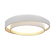 Потолочный светильник Evoluce Crosby SLE6009-502-01