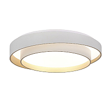 Потолочный светильник Evoluce Crosby SLE6009-502-01