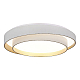 Потолочный светодиодный светильник ST Luce Crosby SLE6009-502-01