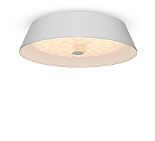 Потолочный светильник Freya Cells FR10013CL-L24W