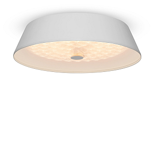 Потолочный светильник Freya Cells FR10013CL-L24W