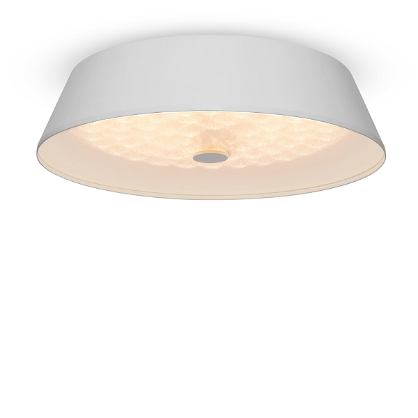 Потолочный светильник Freya Cells FR10013CL-L24W