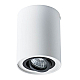 Потолочный светильник Arte Lamp A5644PL-1WH