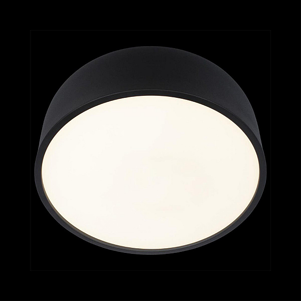 Потолочный светодиодный светильник Loft IT Axel 10201/350 Black