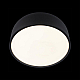 Потолочный светодиодный светильник Loft IT Axel 10201/350 Black