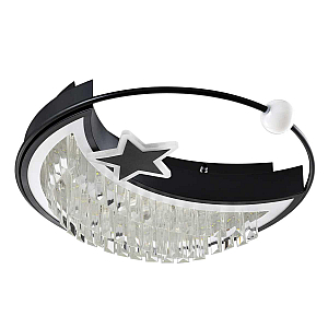 Потолочный светильник LED4U L8024-450 BK