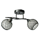 Потолочный светильник Toplight Isabella TL7450X-02BP