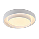 Потолочный светодиодный светильник MyFar Ceiling Rhea MR9160-CL