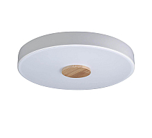 Потолочный светильник Loft IT AXEL 10003/24 White