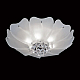 Потолочный светильник Lightstar Lobo 804020