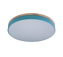 Потолочный светильник Loft IT AXEL 10001/36 Blue