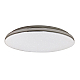 Потолочный светильник Эра SPB-6-40 Chrome1 new Б0056332