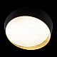 Потолочный светодиодный светильник Loft IT Coin 10199 Black