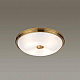Потолочный светильник Odeon Light Walli Pelow 4956/4