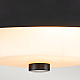 Потолочный светильник Elstead Lighting Bowtie BOWTIE-F-MB