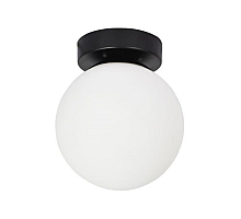 Настенно-потолочный светильник Arte Lamp Alcor A2224PL-1BK