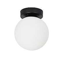 Настенно-потолочный светильник Arte Lamp Alcor A2224PL-1BK