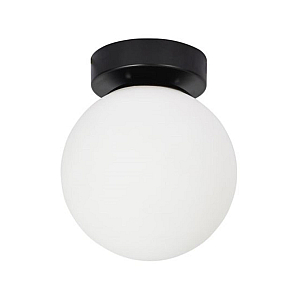 Настенно-потолочный светильник Arte Lamp Alcor A2224PL-1BK
