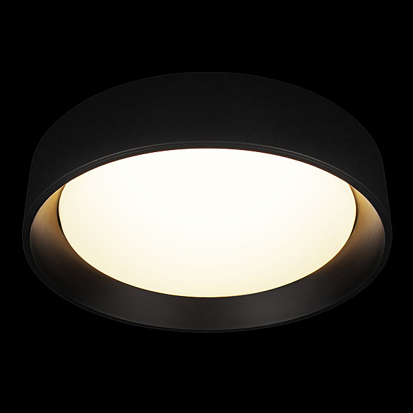 Потолочный светильник Loft it Coin 10202 BB