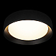 Потолочный светильник Loft it Coin 10202 BB