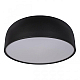 Потолочный светодиодный светильник Loft IT Axel 10201/480 Black