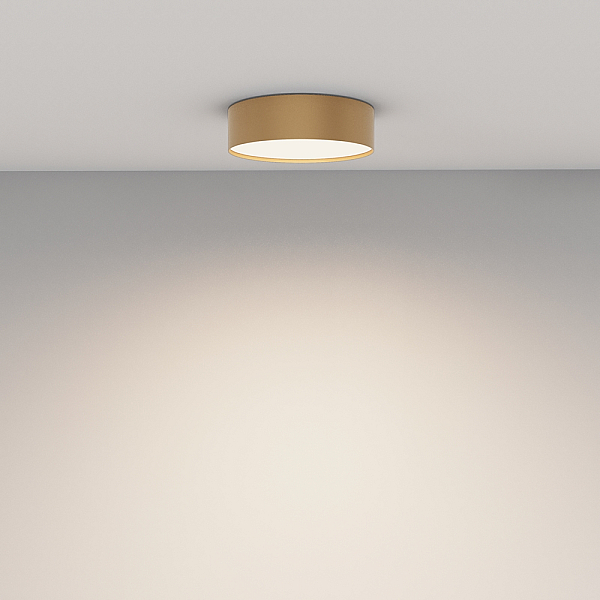 Потолочный светодиодный светильник Maytoni Technical Zon C032CL-24W4K-RD-MG