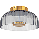 Потолочный светодиодный светильник Lightstar Celesta 809061