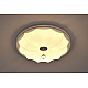 Потолочный светодиодный светильник Escada 10231/S LED