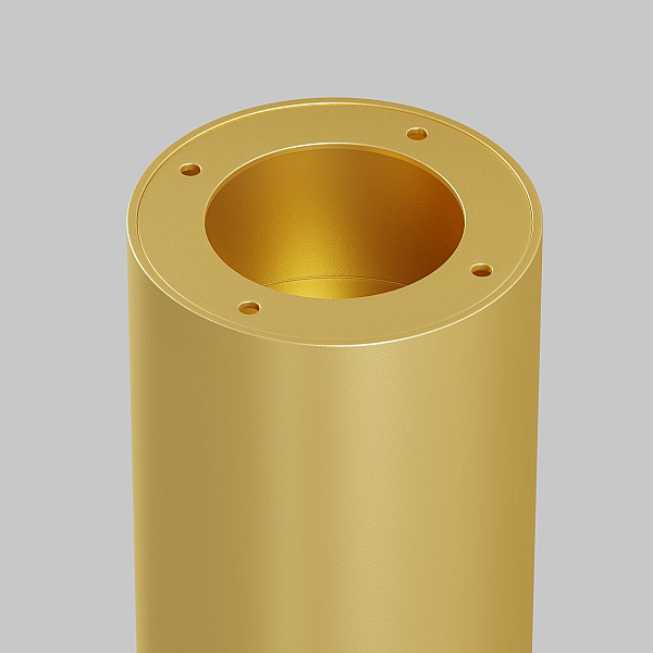 Потолочный светильник Maytoni Technical Focus C010CL-01MG-N