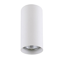 Потолочный светильник Lightstar Rullo 214486