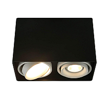 Потолочный светильник Arte Lamp A5655PL-2BK
