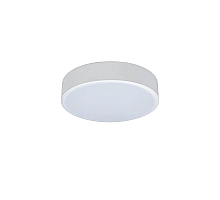 Потолочный светильник Loft IT AXEL 10002/12 White