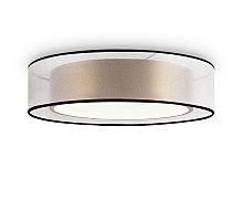 Потолочный светильник Freya Zoticus FR6005CL-L36G