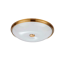Настенно-потолочный светильник Odeon Light Pelow 4956/5