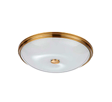 Настенно-потолочный светильник Odeon Light Pelow 4956/5