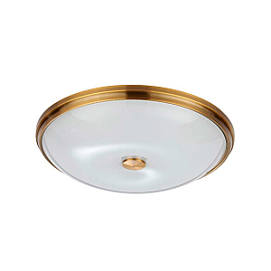 Настенно-потолочный светильник Odeon Light Pelow 4956/5