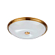Потолочный светильник Odeon Light Walli Pelow 4956/5