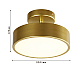 Потолочный светильник F-Promo Atma 3059-2P