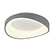 Потолочный светодиодный светильник MyFar Ceiling Diona MR9190-CL