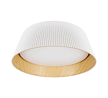 Потолочный светильник Loft IT Evans 10224 White