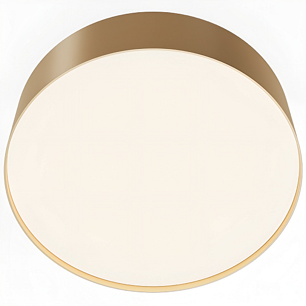 Потолочный светодиодный светильник Maytoni Technical Zon C032CL-24W4K-RD-MG