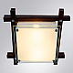 Потолочный светильник Arte Lamp Archimede A6462PL-2CKB