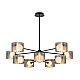 Потолочный светильник Freya FR5544CL-10B