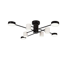 Потолочный светильник Freya Tibo FR6048CL-L8B