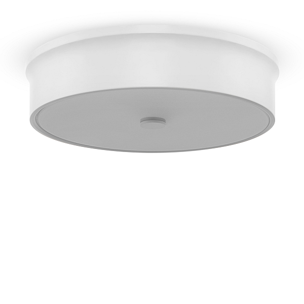 Потолочный светильник Freya Cells FR10011CL-L24W