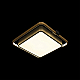 Потолочный светодиодный светильник Loft It Mike 10171