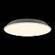Потолочный светодиодный светильник Loft IT Brim 10226 White
